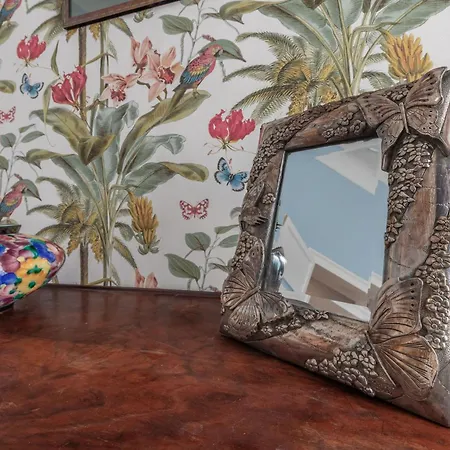 Italian Experience- 안코나